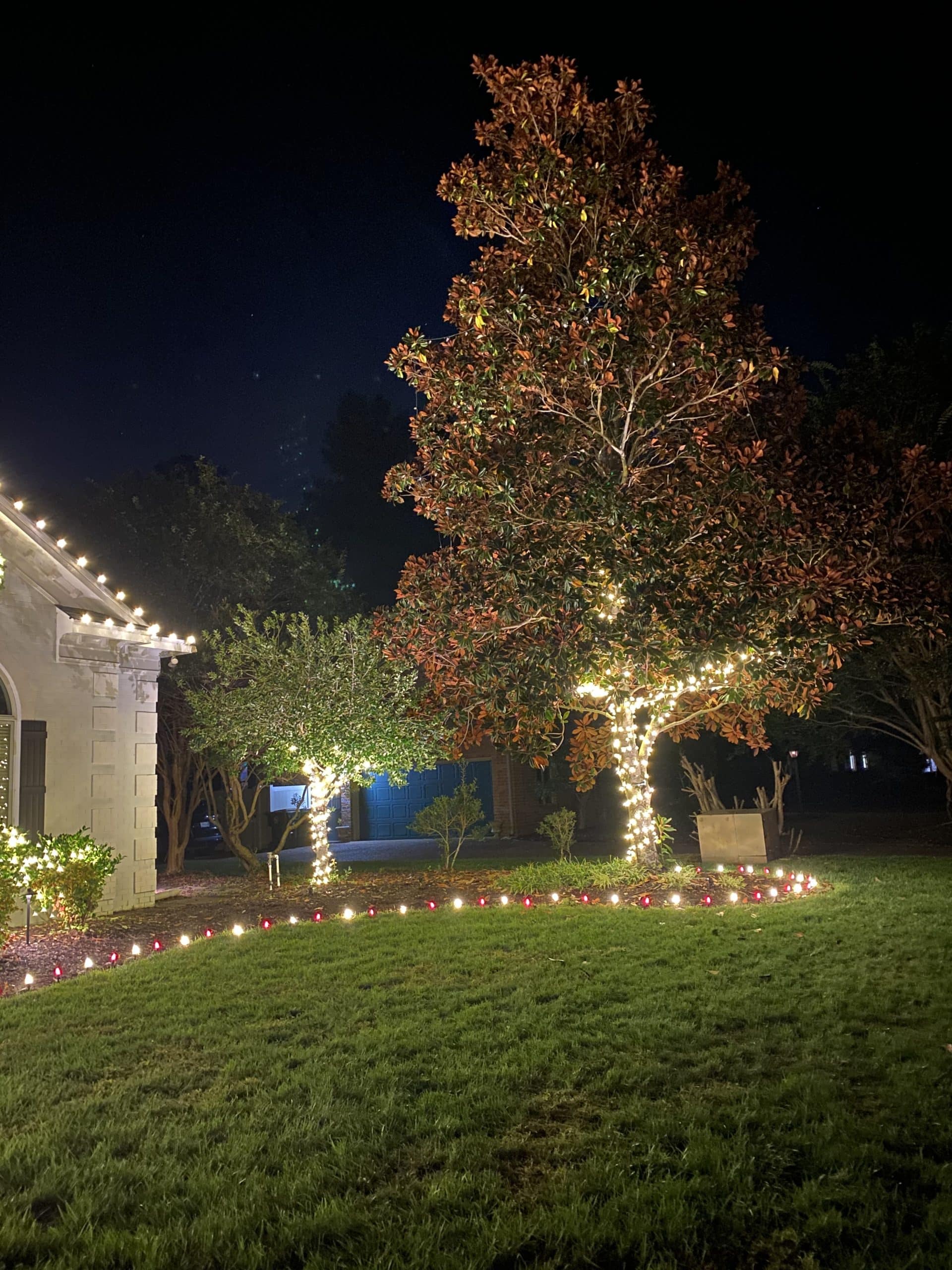 Christmas Lights on Trees LBL Christmas Lights